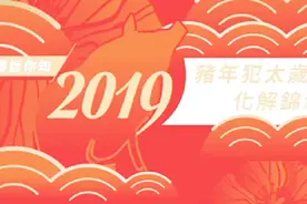麦玲玲2019猪年犯太岁化解锦囊 生肖猪、蛇、猴、虎要注意的事视频封面