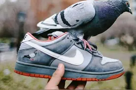 大热的DUNK和DUNK SB傻傻分不清，简单说几点轻松辨别图片