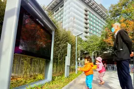 丰富的户外运动场景，西单新添2300平方米体育游园图片