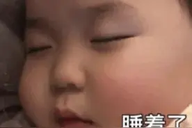 表情包：睡着了图片