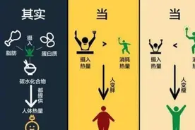 减肥过程中的能量守恒图片