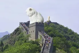当世界被猫咪占领，哎呀，太萌了图片