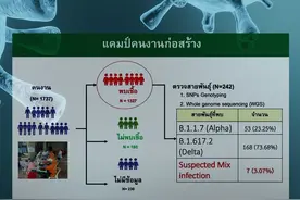 泰国曼谷发现7例同时感染两种新冠变异毒株病例图片