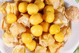 菇娘：曾经被人们视为杂草，却是高级新型营养保健果，如何种植？图片