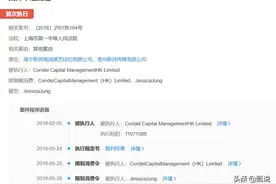 少女时代前成员郑秀妍成老赖，冲动下的创业失败之路图片