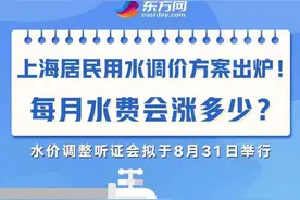 上海水价拟上调，市民消费者怎么看？这场听证会讨论热烈图片