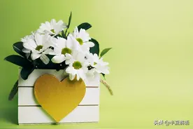 岳母强行住进女婿家，只为索取儿子购房首付：这是女儿女婿的义务图片