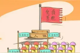 科普 | 一分钟看懂疫苗在身体里如何战斗图片