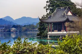 山东省聊城市临清市乡镇街道及社区村名汇总图片
