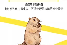 @广东人，5月1日起再食野味最高要罚动物价值的20倍！图片