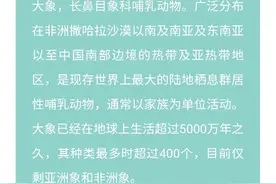 “妈妈，我长牙了，你不为我高兴吗？”图片