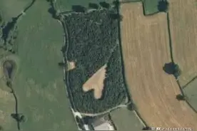 20个在谷歌地图上发现的诡异场景图片