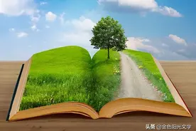 如书的桑老师、漫画老师图片