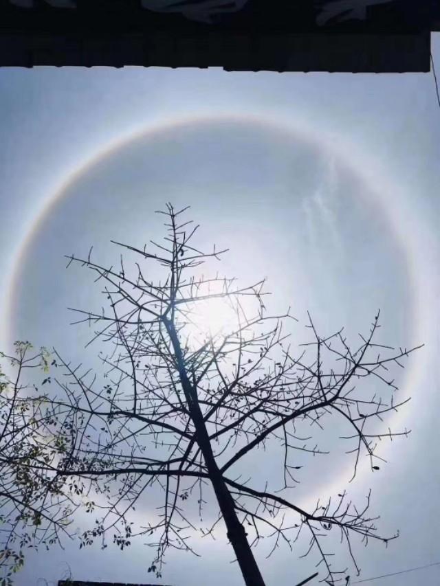 日晕是什么的征兆?出现日晕是好兆头吗?