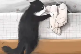 5300年前古人开始“撸猫”，因尖牙利爪遭黑，现呆萌可爱征服人类图片