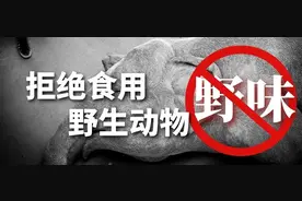 域外都有哪些禁止交易和食用野生动物的法律制度？图片