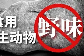 域外都有哪些禁止交易和食用野生动物的法律制度？图片