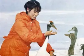 丹顶鹤女孩牺牲27年后，弟弟也在保护区殉职，如今侄女继承遗志图片