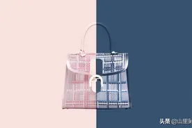 奢侈皮具的鼻祖，爱马仕的大哥——比利时顶级手袋品牌DELVAUX图片