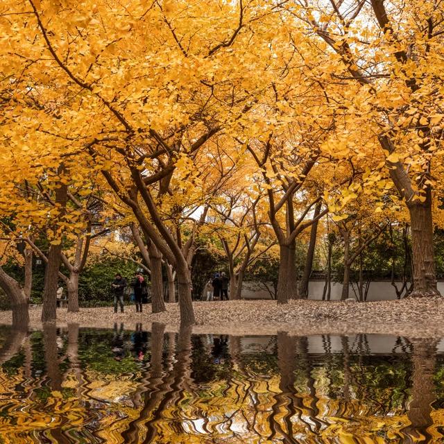 图赏 | 摄影如奇遇,有心得相逢