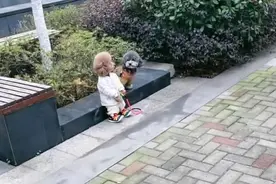 小孩牵狗狗在公园散步，走到正面一看，一脸不信，还有这操作图片