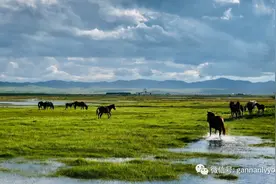 无甘南不旅行，这篇2021版甘南旅行必备攻略建议收藏图片