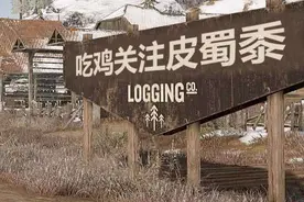 和平精英：恶意淘汰队友处罚再次升级，这一次光子干的漂亮图片