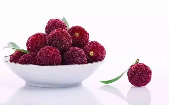 每颗杨梅都有虫子？万万没想到的杨梅小知识