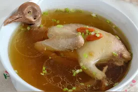 大补鸽子汤的19种做法，营养丰富，味道鲜美图片