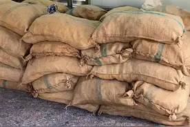 到底用什么容器保存陈皮最好？图片