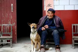 老人给落难土狗吃了几天饭，土狗报恩，把老人从鬼门关拉了回来图片