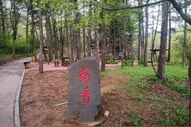 再游萨尔浒图片