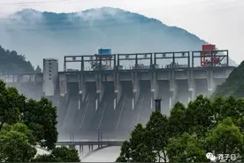 “移民佬”：去江西，江西有饭吃有柴烧图片