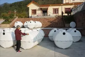 政府补贴，农村改厕，到底是好事还是坏事图片