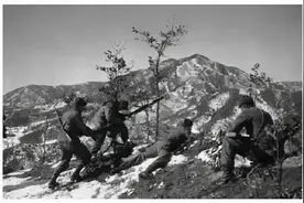 志愿军战士的奇特经历：掉队后独行山林中，突然遇到猛虎图片