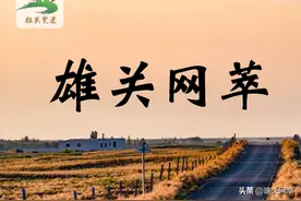 一场东方智慧与自然生命的对话图片