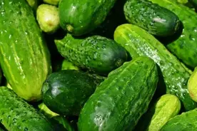 爱吃黄瓜的注意了！夏天别这么吃黄瓜~图片