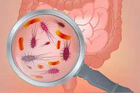 没有健康的肠道，就没有健康的人生，你还敢“虐待”它？图片