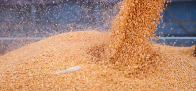 养猪如何降本增效？选择优质的饲料添加剂是关键