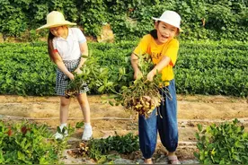 不一样的大济南｜带娃来秋收啦，还有城市版野外求生图片