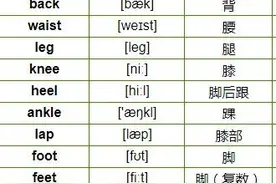 高中生应该如何高效背单词图片