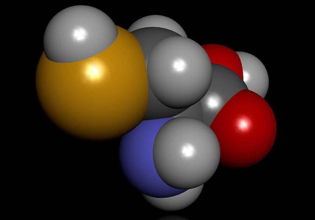 浠庢棤鏈哄埌鏈夋満锛岀敓鍛界殑鍑虹幇鍑犱箮鏄笉鍙兘鐨勶紝鐢熷懡鍒板簳浠庝綍鑰屾潵锛? onerror=