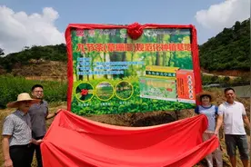 助力乡村振兴 敬修堂药业云浮九节茶规范化种植基地揭牌图片