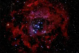 【科学向日葵】玫瑰星云——是藏在这宇宙中我对你永恒的浪漫图片