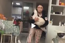 孩子哭闹不睡，妈妈一脚踢翻碗筷还吼孩子，评论区留下1000条理解图片