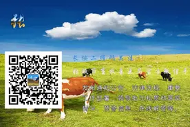 【技能科普】仔畜如何断脐图片