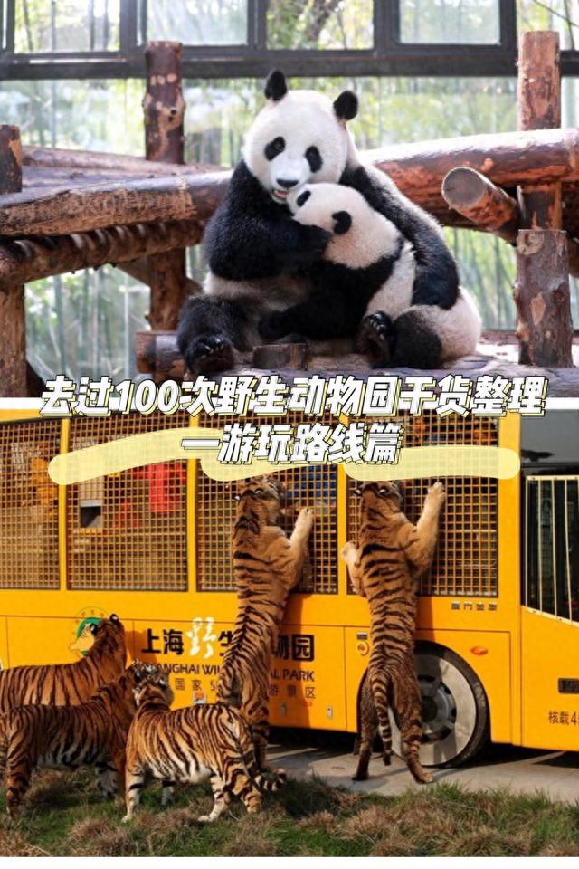 上海野生动物园旅游攻略(上海两个动物园哪个好)