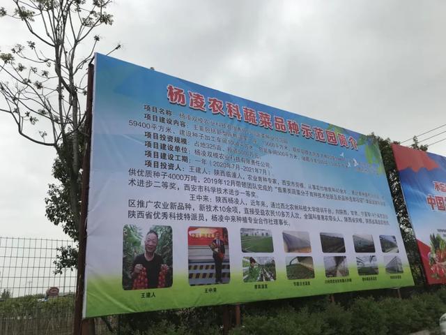 种菜不卖菜,农科城里造“芯片”!