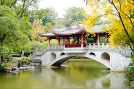 冬日来赏秋——柳州市柳侯公园醉美“秋”景等你来打卡图片