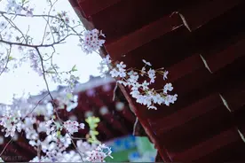 宿命真爱，付出一切也甘愿，就像这星座组合，无私大爱，包容成全图片